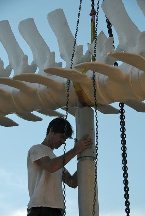Photo detail