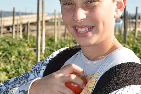 photo thumbnail