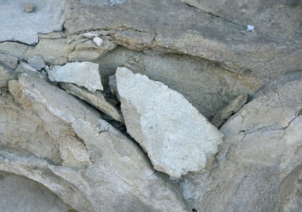 Photo detail
