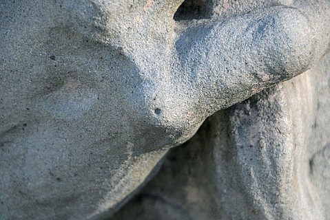 photo thumbnail