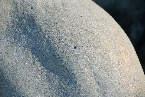 photo thumbnail