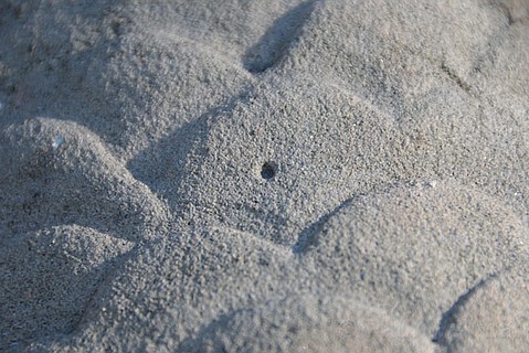 photo thumbnail