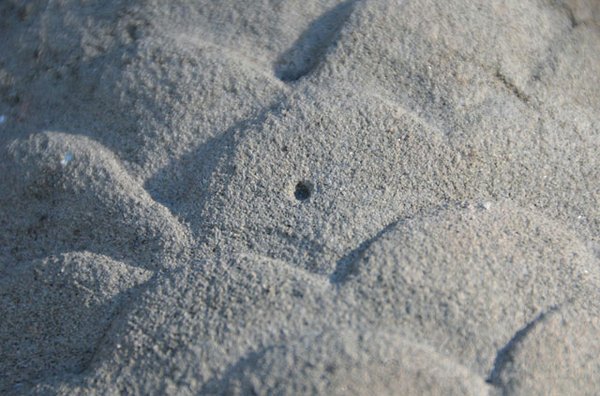 Photo detail