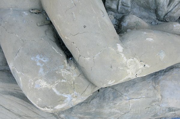 Photo detail
