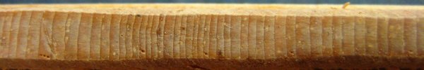 Photo detail