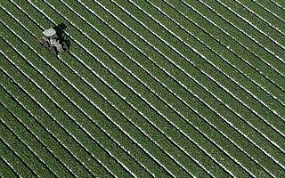 An arial view of agricultural work in Oxnard.