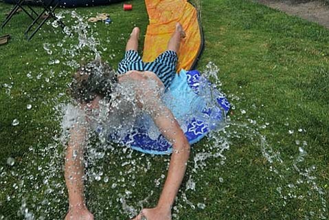 photo thumbnail