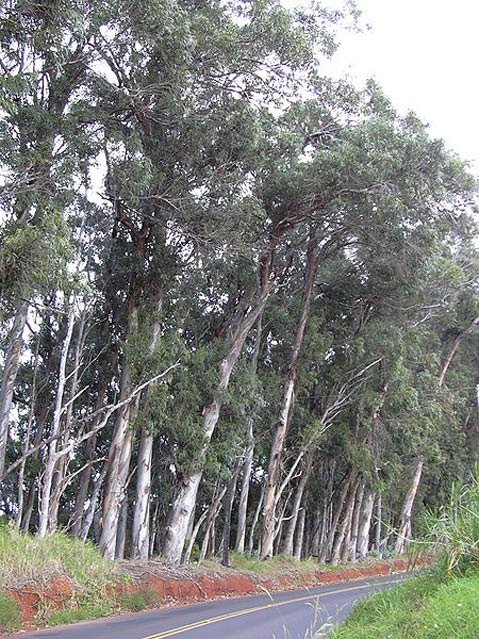 Photo detail