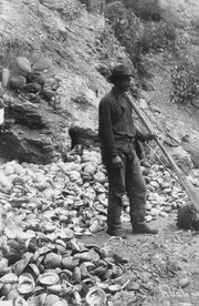 By the turn of the century, Santa Barbara was home to one of California’s most successful fishing enterprises.