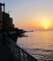 photo thumbnail