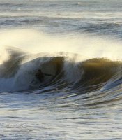 photo thumbnail