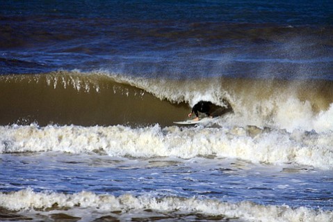 photo thumbnail