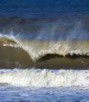 photo thumbnail