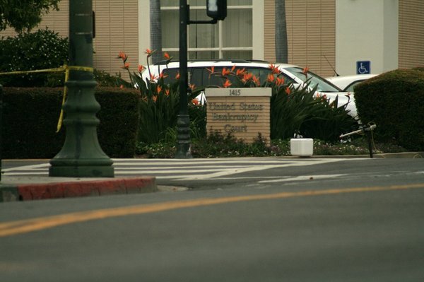 Photo detail