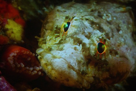 photo thumbnail