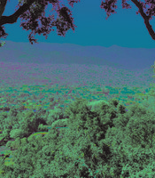 photo thumbnail