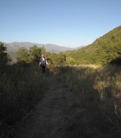 photo thumbnail