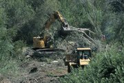 Channel Islands' Coastal Wetland Restoration Project at Prisoner's Harbor on Santa Cruz Island