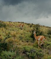 photo thumbnail