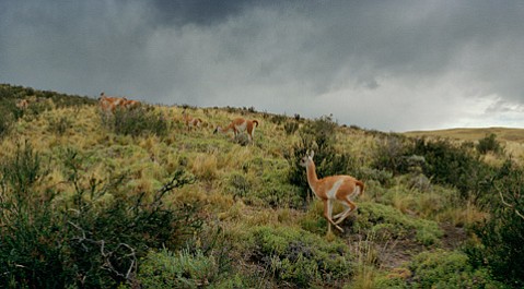 photo thumbnail