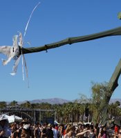photo thumbnail