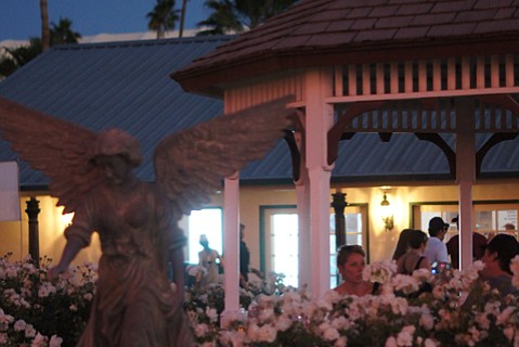 photo thumbnail