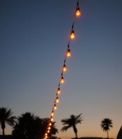 photo thumbnail