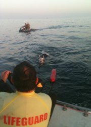 Santa Barbara rescue crews find William, an Arabian horse that swam more than two miles into the ocean after he was spooked during a photo shoot