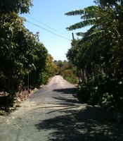 photo thumbnail
