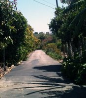 photo thumbnail