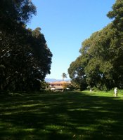 photo thumbnail
