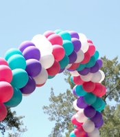 photo thumbnail