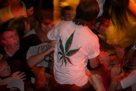 photo thumbnail