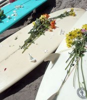 photo thumbnail