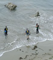 photo thumbnail