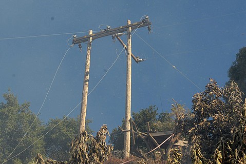 photo thumbnail