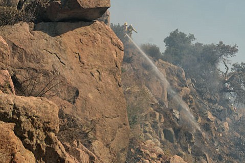 photo thumbnail