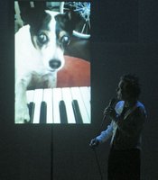 photo thumbnail