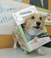photo thumbnail