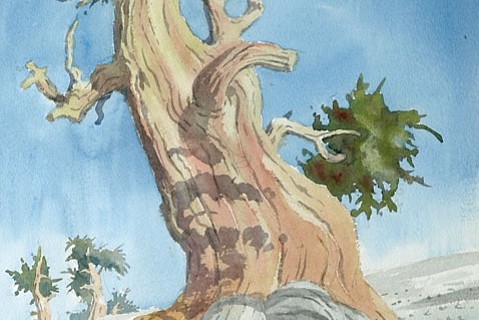 photo thumbnail
