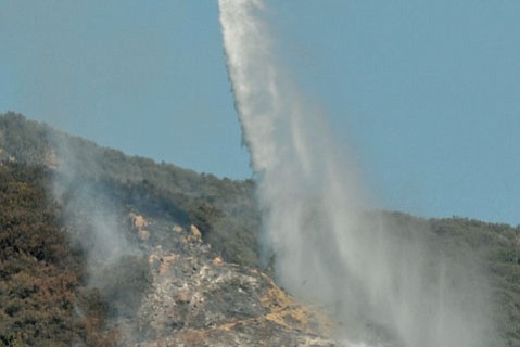 photo thumbnail