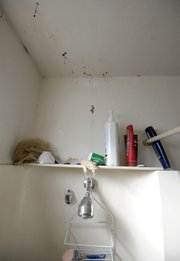 A water leak in the bathroom of a Dario Pini apartment causes the paint to buckle and mold to grow. (Dec. 12, 2012)