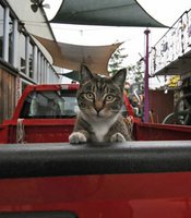 photo thumbnail