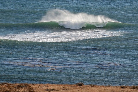photo thumbnail