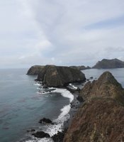 photo thumbnail