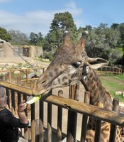 photo thumbnail