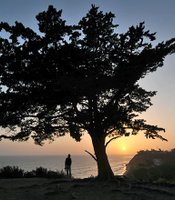 photo thumbnail