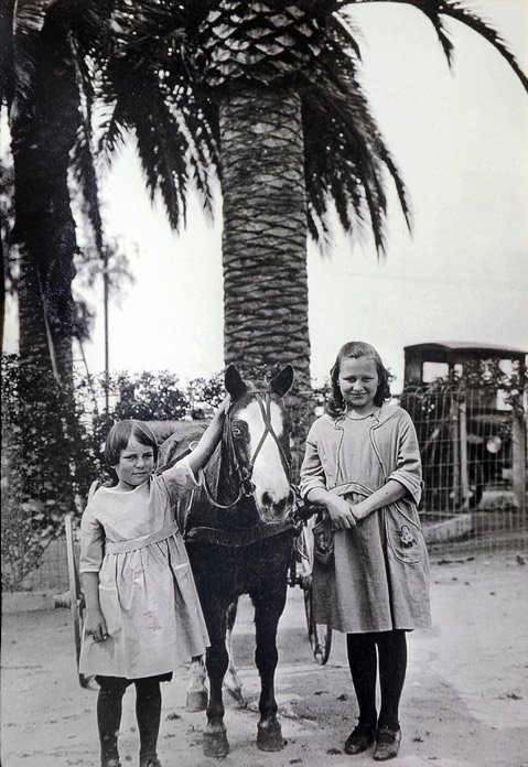 Photo detail