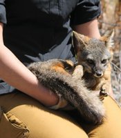 photo thumbnail