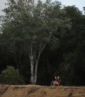 photo thumbnail